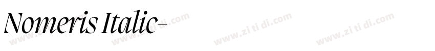 Nomeris Italic字体转换 Nomeris Italic字体转换